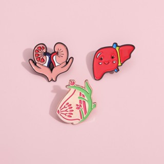 Órgãos Esmalte Pins Broche Anatomia Broches Médicos Lapela Crachás Jóias Presente Para Amigos