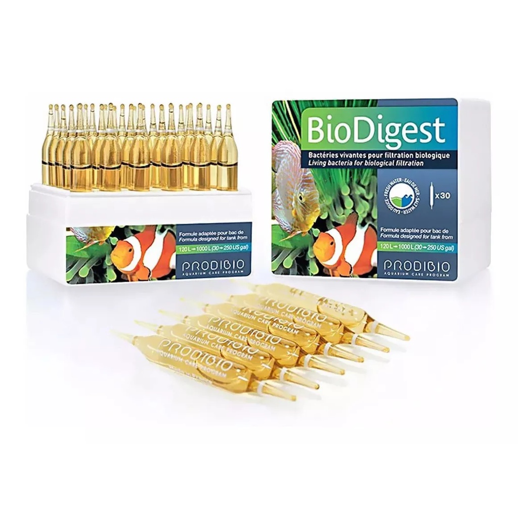 10 Ampolas Prodibio Biodigest 20 Bilhões De Bactérias Vivas