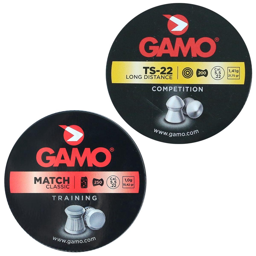 Chumbinho 5.5 Gamo Match Classic + TS-22 Long Distance - Sports & Outdoors