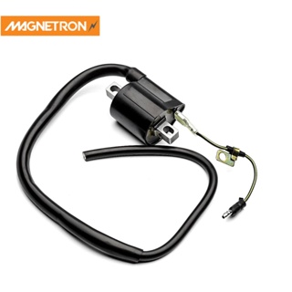 BOBINA DE IGNIÇÃO TITAN2003/2008/150 KS MAGNETRON em Oferta na Shopee