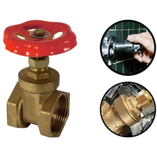 Registro De Gaveta Bruto 1/2 Pol Latão Alta Qualidade Fertak 7001 em Oferta na Shopee