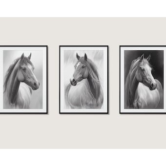 Quadro Decorativo cavalo Amimais  , decoração casa Quadro Decorativo Cavalo tamanho grande
