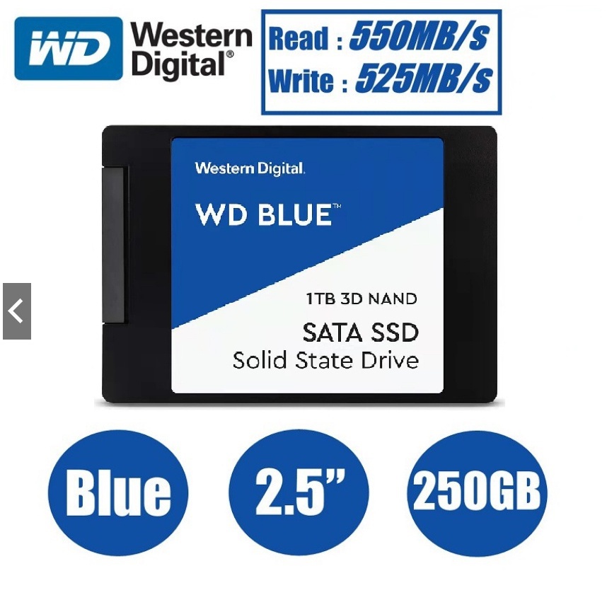 1T 3D NAND Internal PC 560 MB/s Azul SSD 500 GB 1 TB Unidade Interna de Estado Sólido 2,5 Polegadas para Computador Desktop, SATA 3