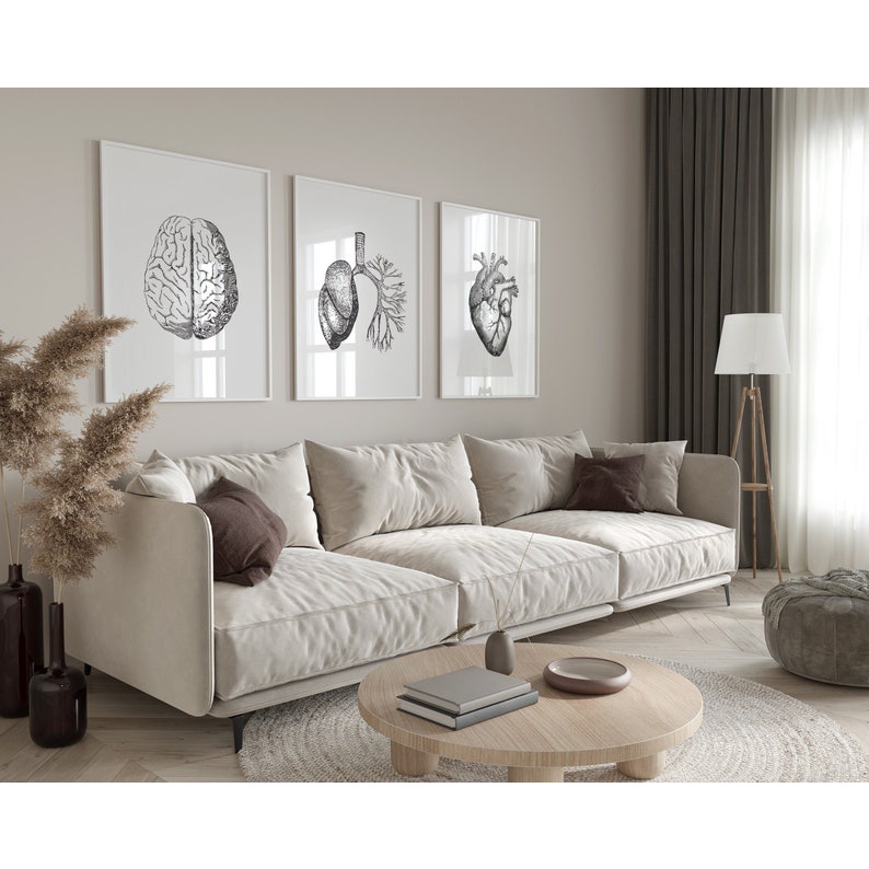Quadro Decorativo Anatomia Humana, decoração casa Quadro Decorativo Medicina cerebro
