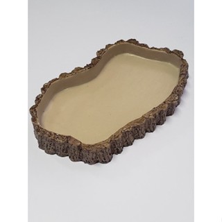 Comedouro Ou Bebedouro Para Repteis Cm 019 Artexotics