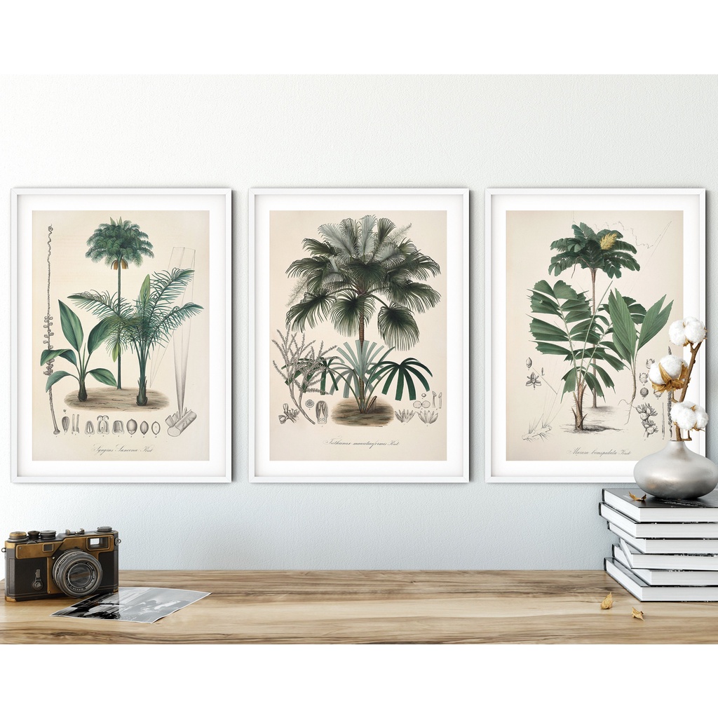 Quadro Decorativo Flores Botânico minimalista , decoração casa Quadro Decorativo Loja Minimalista tamanho grande Decoração para sala casa cozinha quarto Quadro decorativo abstrata Moderno Decoração Flores Retro arte #30