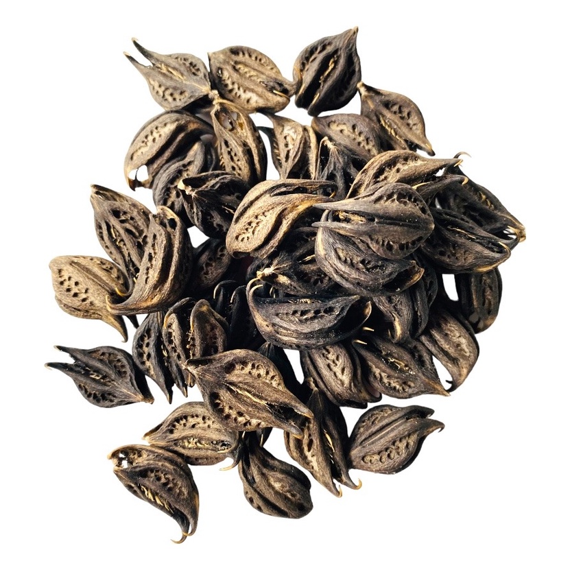 1 Fava Pombo Gira E Exu Garra Do Diabo Para Assentamento