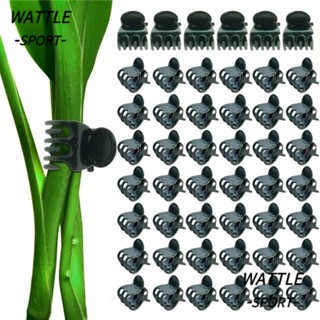WATTLE 100Pcs Clip De Enxerto , De Vinha Clipes De Planta De 6 Garras , Suprimentos Ferramentas De Jardim Suporte De Flor De Orquídea Plástica Grampo Borboleta Haste De Frutas Vegetais