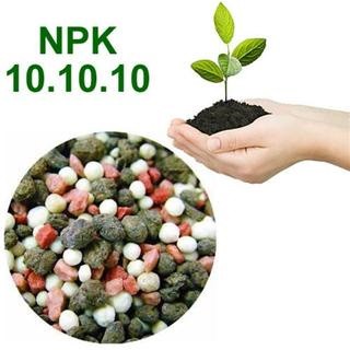 2 k ADUBO - NPK 101010 - fertilizante para plantas flores e rosa