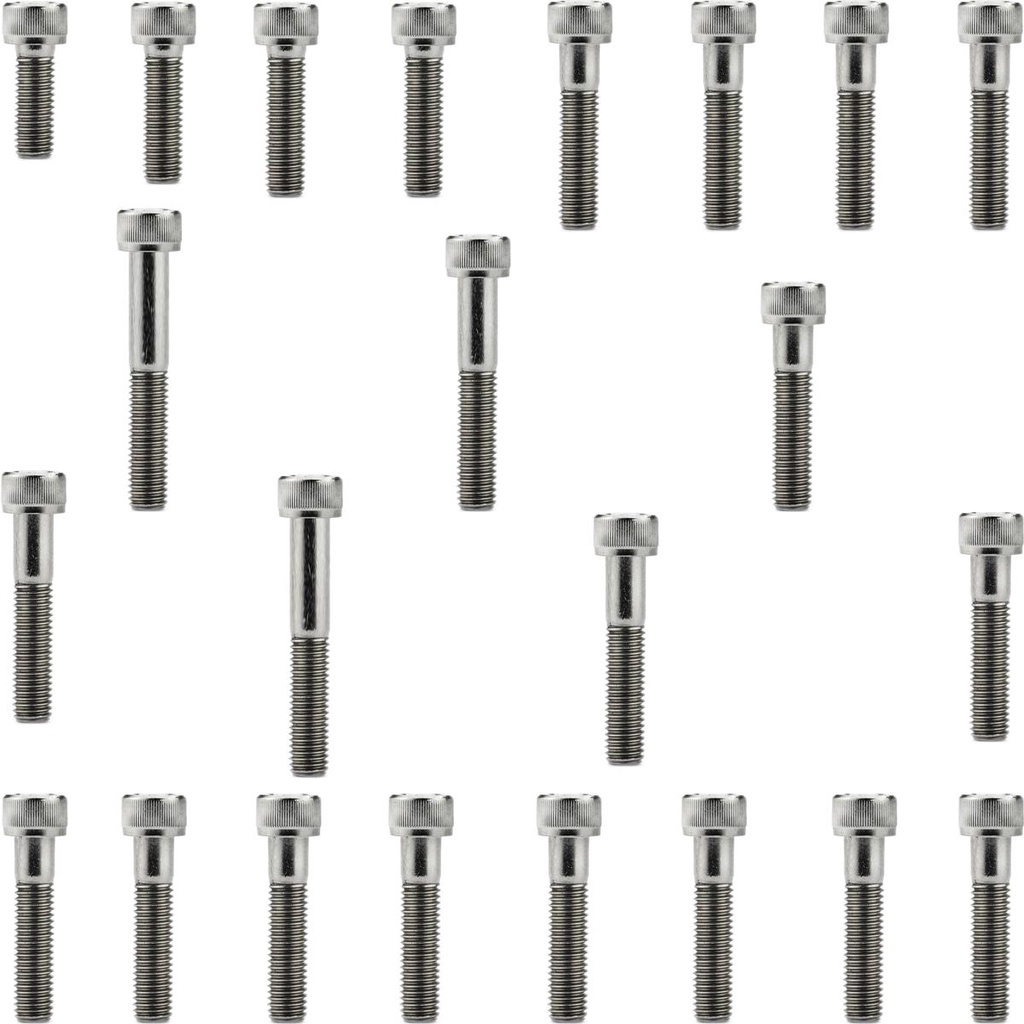 Kit parafusos Inox tampa motor lateral esquerda+direita CBX200 Strada XR200R NX200 1993 a 2003