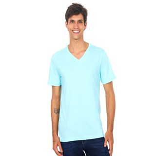 Camiseta Masculina Gola v Bordado Cinza Polo Wear Azul Claro