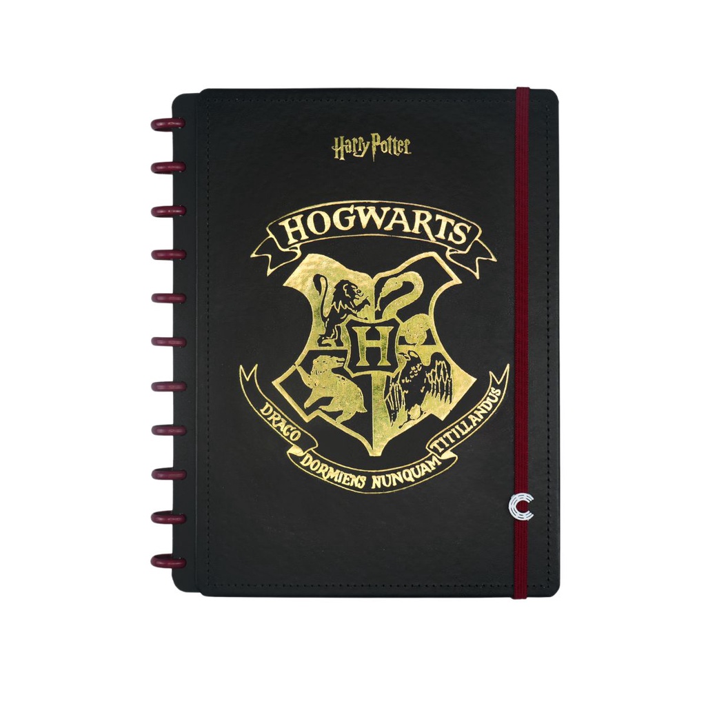 Caderno Inteligente Harry Potter Ci Tamanho Grande de Disco 80 Folhas em Oferta na Shopee