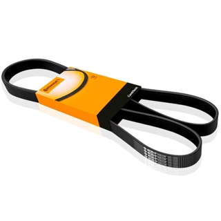 Correia Alternador Peugeot 206 2001 A 2005 Multi V Contitech em Oferta na Shopee