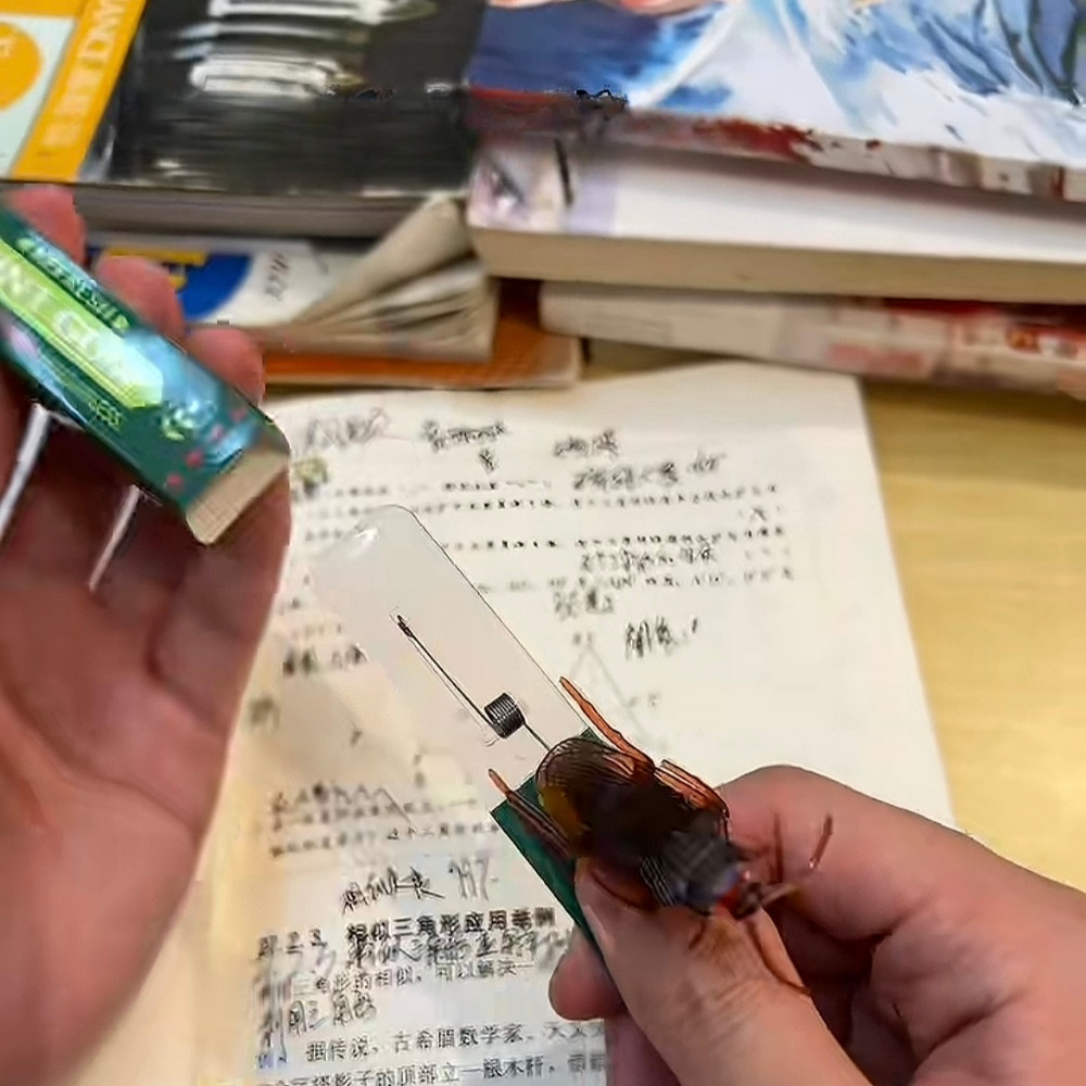 Simulação Barata Goma De Mascar Pegadinhas Engraçadas Prop Halloween Dia Da Mentira Brinquedos Assustadores Amigo