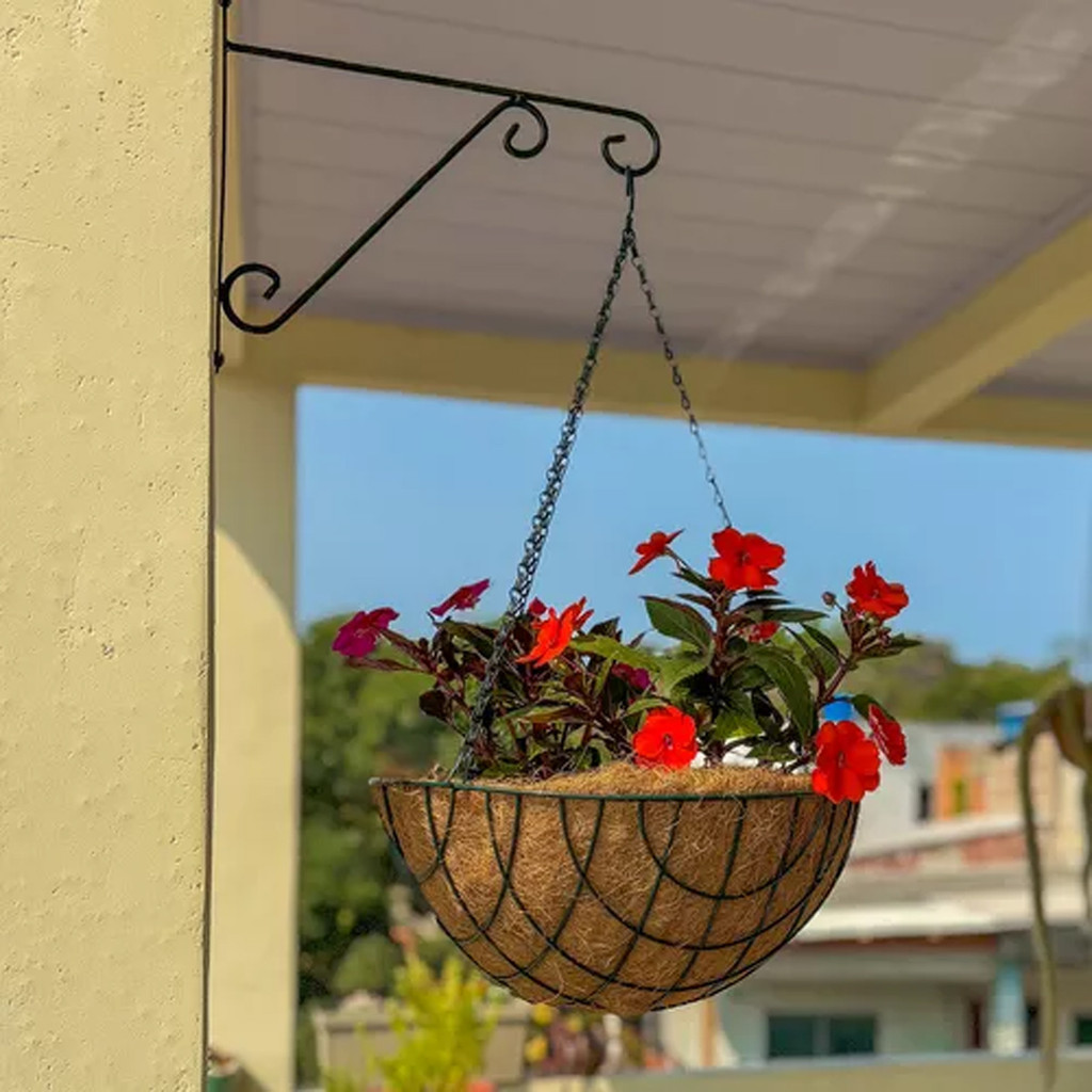 Vaso Pendente Suspenso Fibra De Coco Decorativo Plantas Samambaia Flores