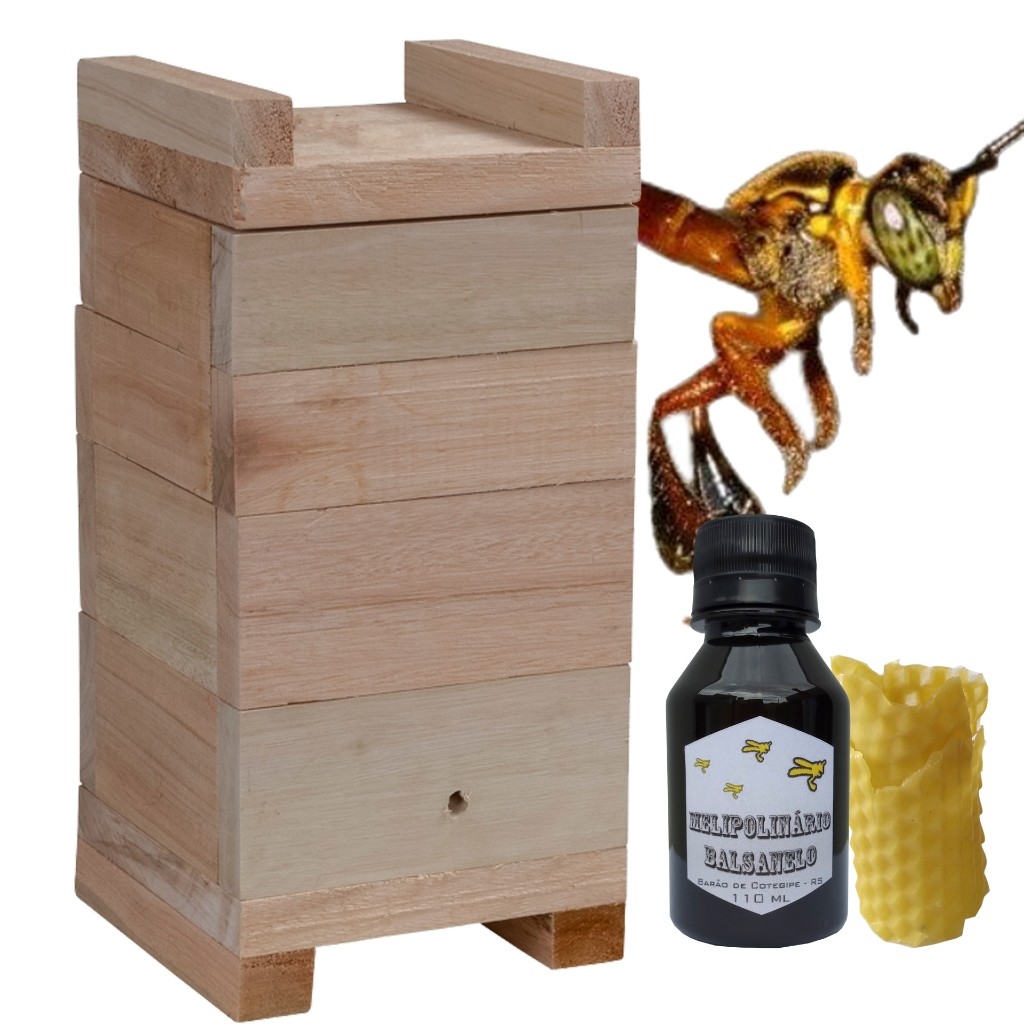 Caixa De Abelha Jatai Inpa 12x12 Interno Com Atrativo 100ml