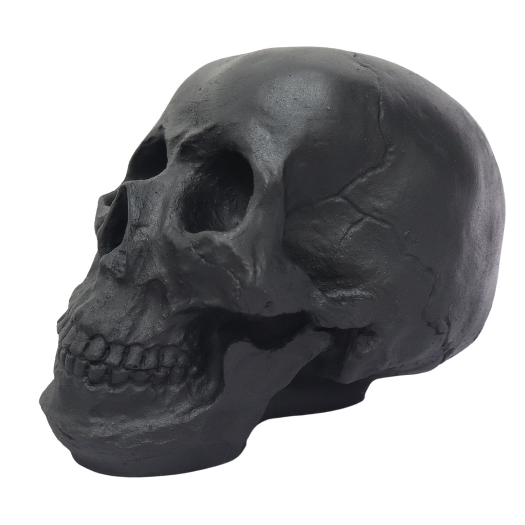 Crânio Caveira Tamanho Real Preto Black Skull Decorativo