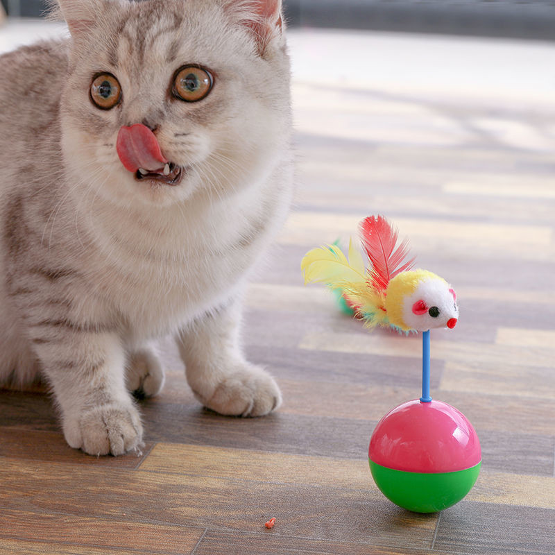 🔥 Pet Record ลูกบอลล้มลุก หนูล้มลุก ของเล่นแมว บอลกรงหนู บอลของเล่นแมว - ภาพที่ 4