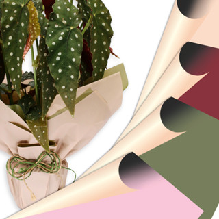 Kit Poli Perolado Dupla Face 68x65cm em Oferta na Shopee