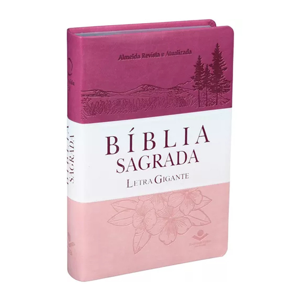 Bíblia Letra Grande Almeida: Onde Comprar | BuscaProdutos