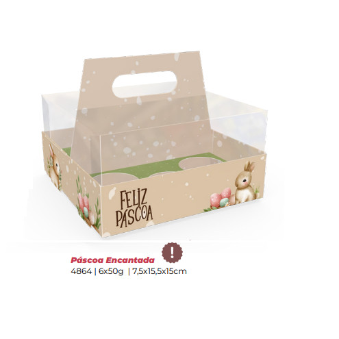 10 CESTA PORTA OVOS COM ALÇA 6X50G IDEIA PASCOA OUTLET