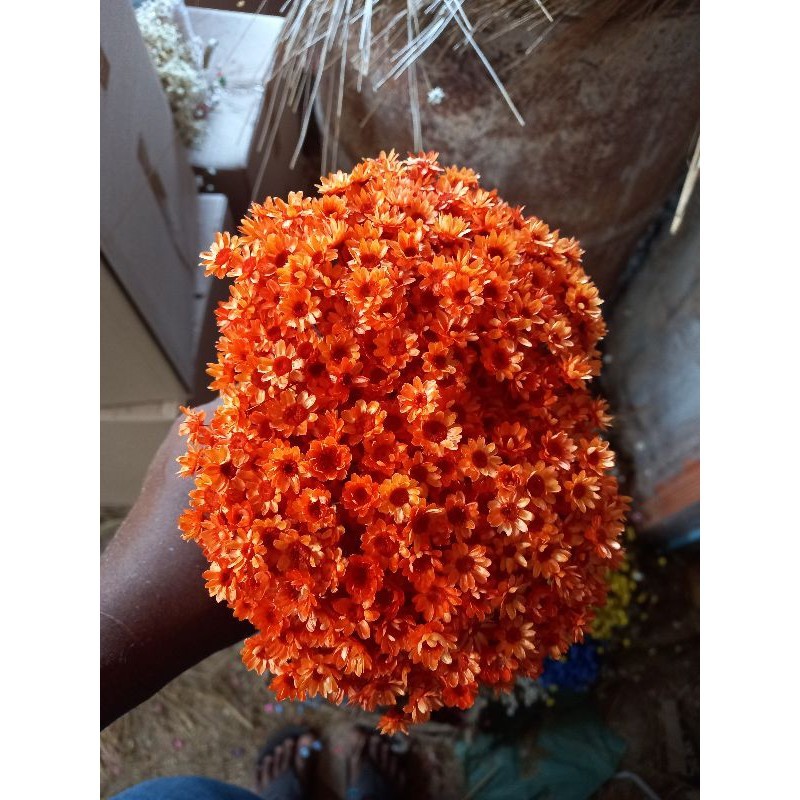 Imagem Flores Sempre Vivas Para Lembrancinhas Artesanato e Arranjos Kit Decorativo 300 Laranja
