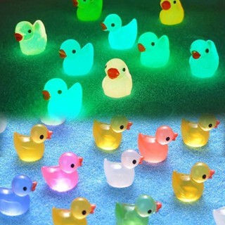 1.4 * 1.7cm Que Brilha No Escuro Pato Decorativo Resina Artesanato Ornamento Em Miniatura De Mesa em Oferta na Shopee