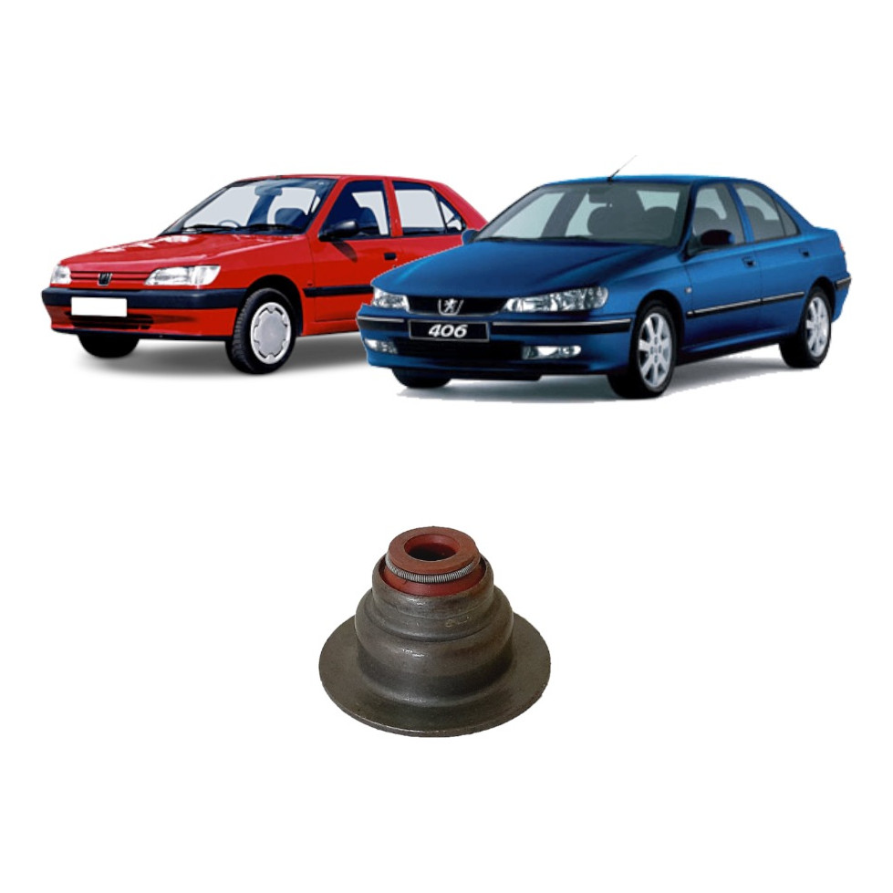Kit Retentor Valvula Cabeçote Peugeot 306 406 605 16un Orig