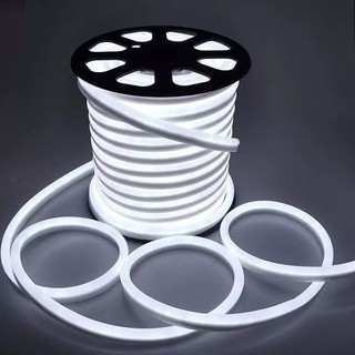 1 a 10 Metros Mangueira Led Neon Flexível Alto Brilho 110V/220V C/ Conector Corte a cada 50cm