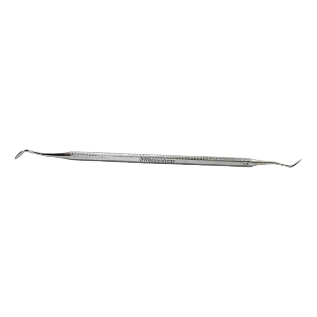 Esculpidor Hollemback nª 3s