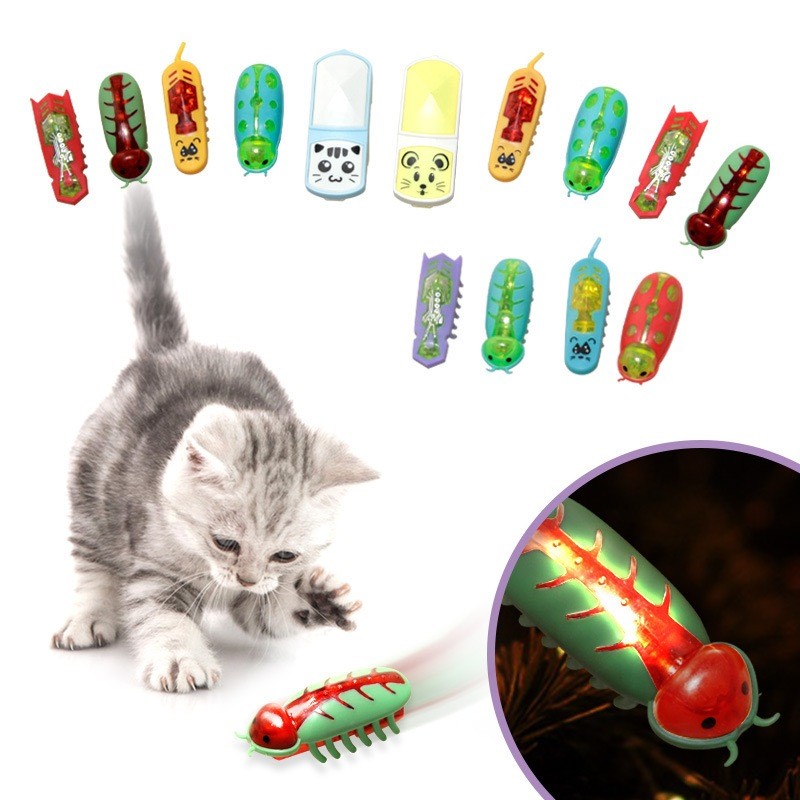Besouro  brinquedo interativo Gato cão Pet 01 bateria Brincar Sozinho Animais