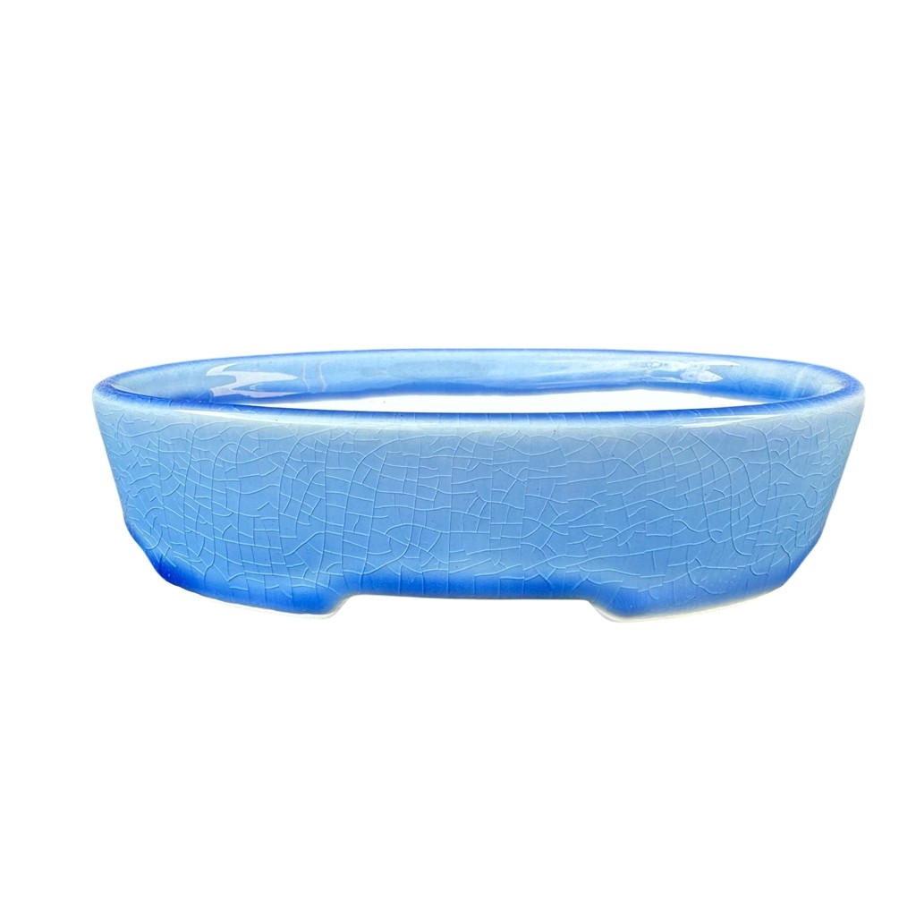 Vaso Oval chines para bonsai 15x10x3,8 vasos ceramica yixing importado para suculentas plantas