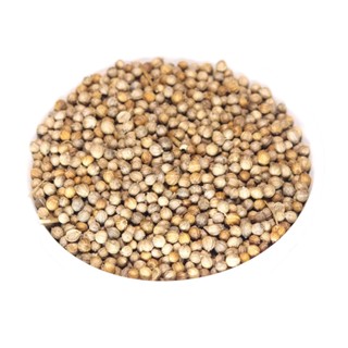 Coentro Em Grãos - Qualidade Premium 500 gramas em Oferta na Shopee