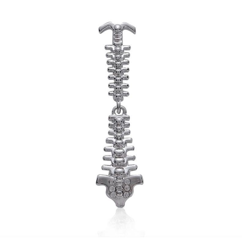 Pin Broche Anatomia Coluna Vertebral Ortopedista Fisioterapia Quiropraxia Presente