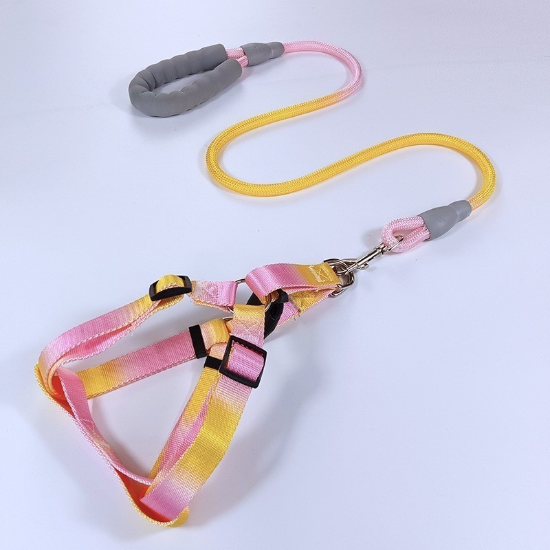 Guia com Amortecedor: Onde Comprar | BuscaProdutos