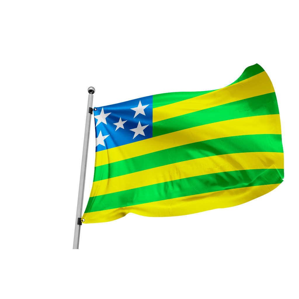 Bandeira De Goiás (1,35 X 1,95 Mts) Marketplace