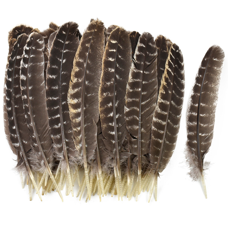 10 Pçs/Lote Prime Penas De Peru Naturais 10-16 Polegadas (20-40 Cm) Águia Pássaro Grande Pena De Faisão Para Artesanato 
