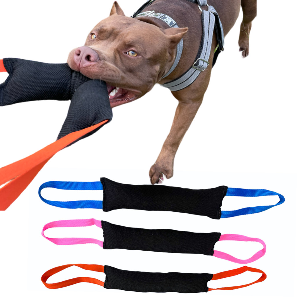 Brinquedo Pet Mordedor Pillow Para Cães Resistente Confortável Para Adestrar Brincar ou Treinar