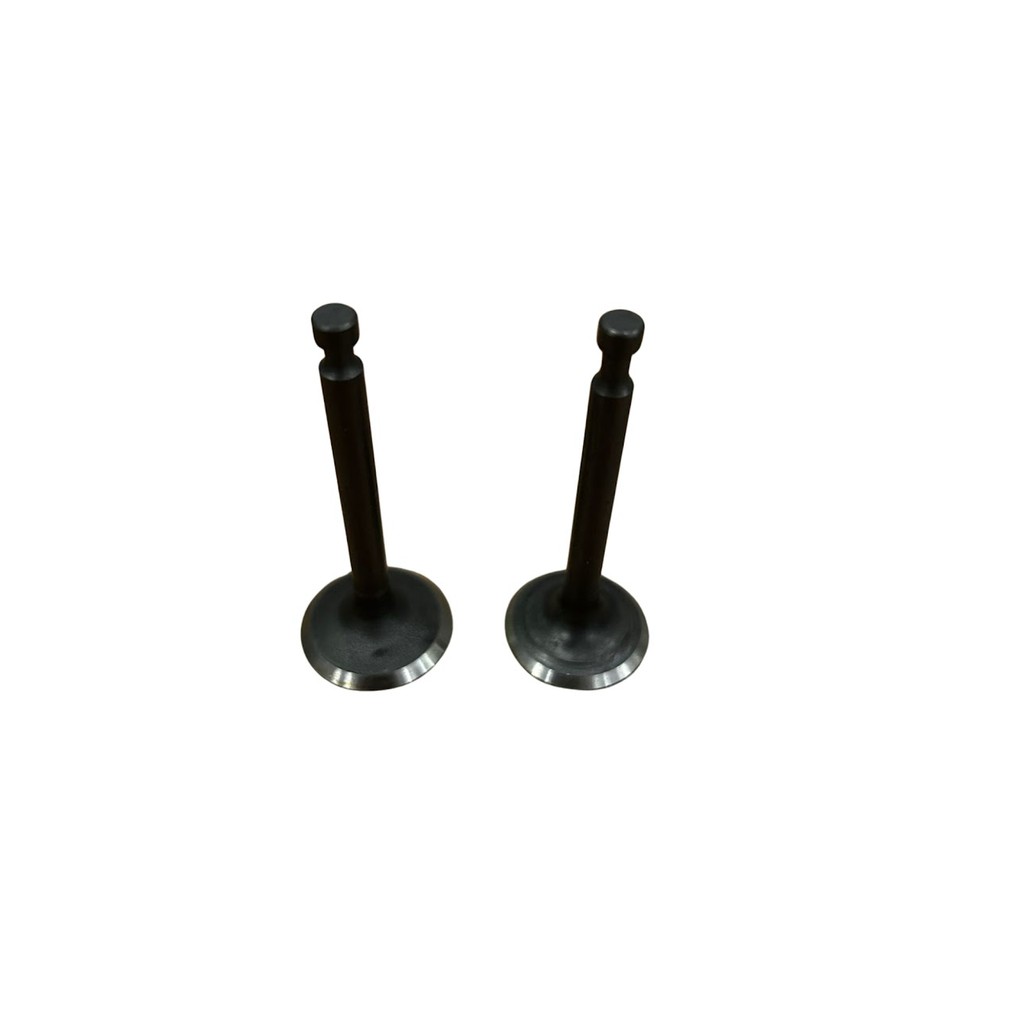Kit Válvula Admissão E Escape Para Motor Gasolina Toyama 5.5hp 6.5hp