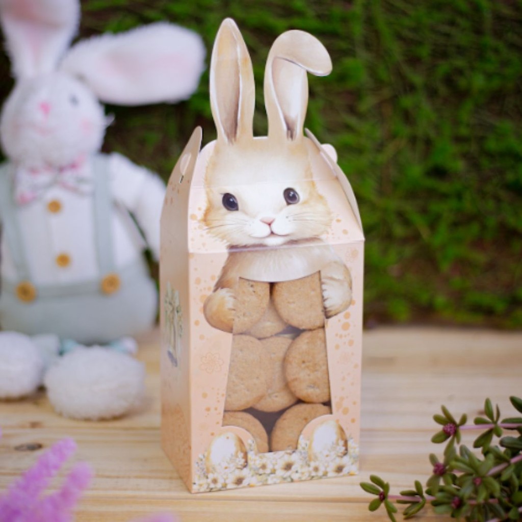 10 SACOS C/ ORELHA - 10X7X18 CM - COELHINHO ENCANTADO 5399 (PASCOA IDEIA OUTLET) em Oferta na Shopee