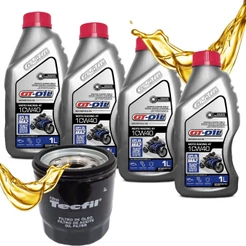 Troca de Óleo P/ Kawasaki Z750 Z800 Z900 Versys 1000 Vulcan 900 Gt Oil 10w40 + Filtro