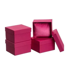 Caixa KIT 10/15/20 Caixa com Almofada Para Relógios