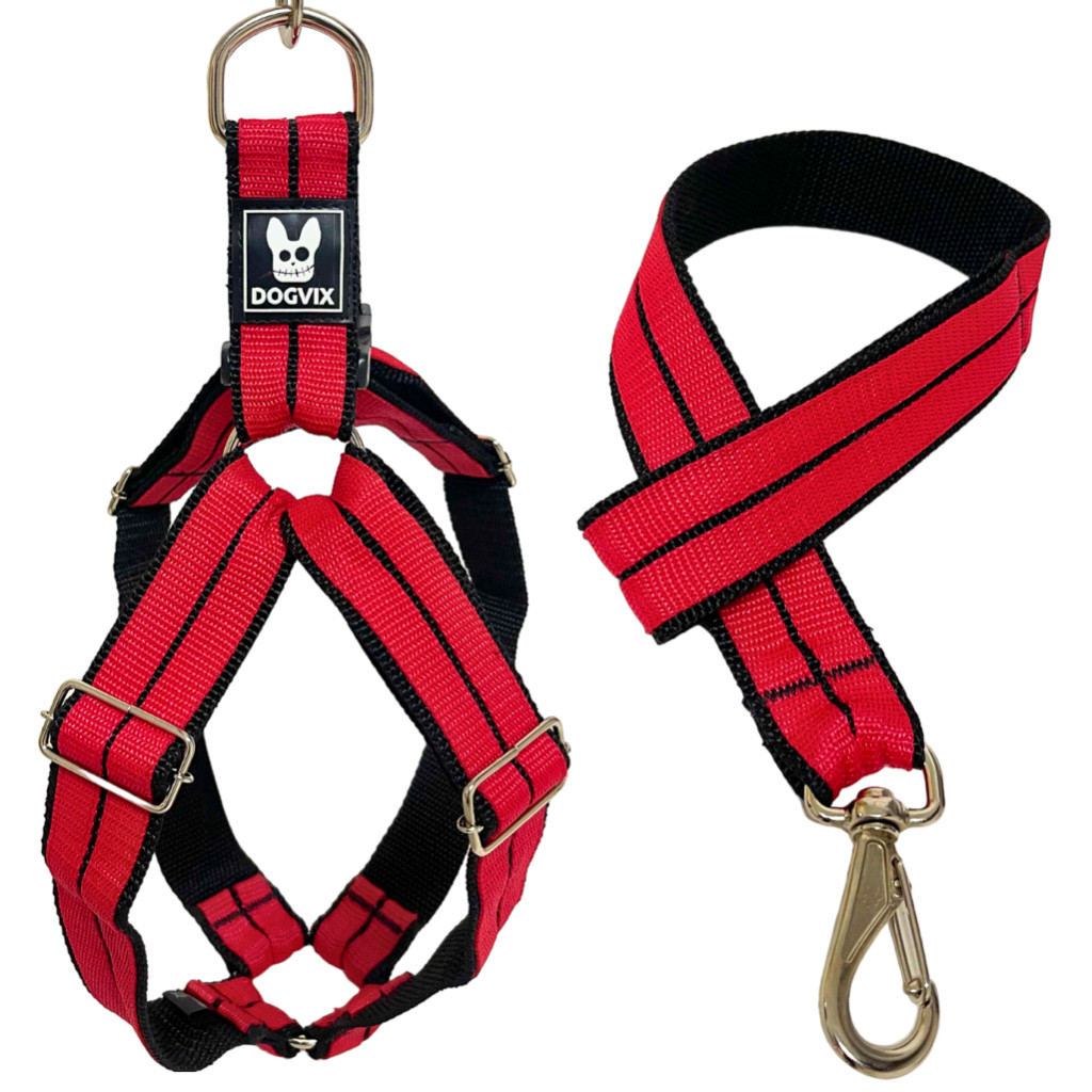 Coleira + Guia Peitoral 4 Ajustes Modelo Americano para cachorro super resistente confortável