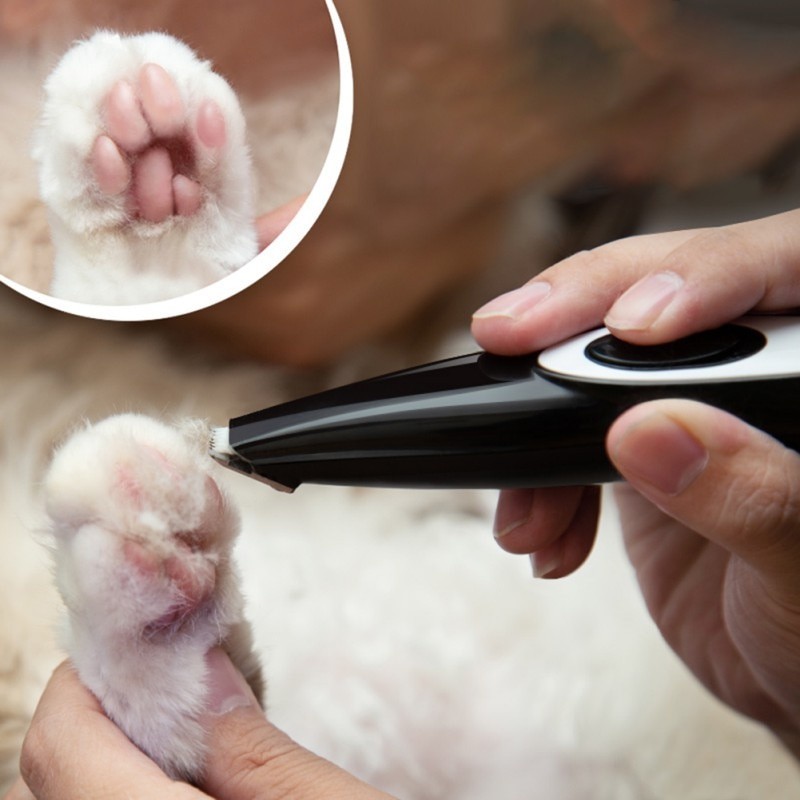 Máquina de Tosa para Pata Olhos Orelha Pet Cão Gato Profissional Aparador De Pelos Cortador