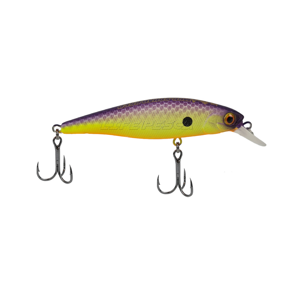 Isca Artificial Bearking Sparrow Squad Minnow 65 (6.5cm 5.8gr) - Varias Cores