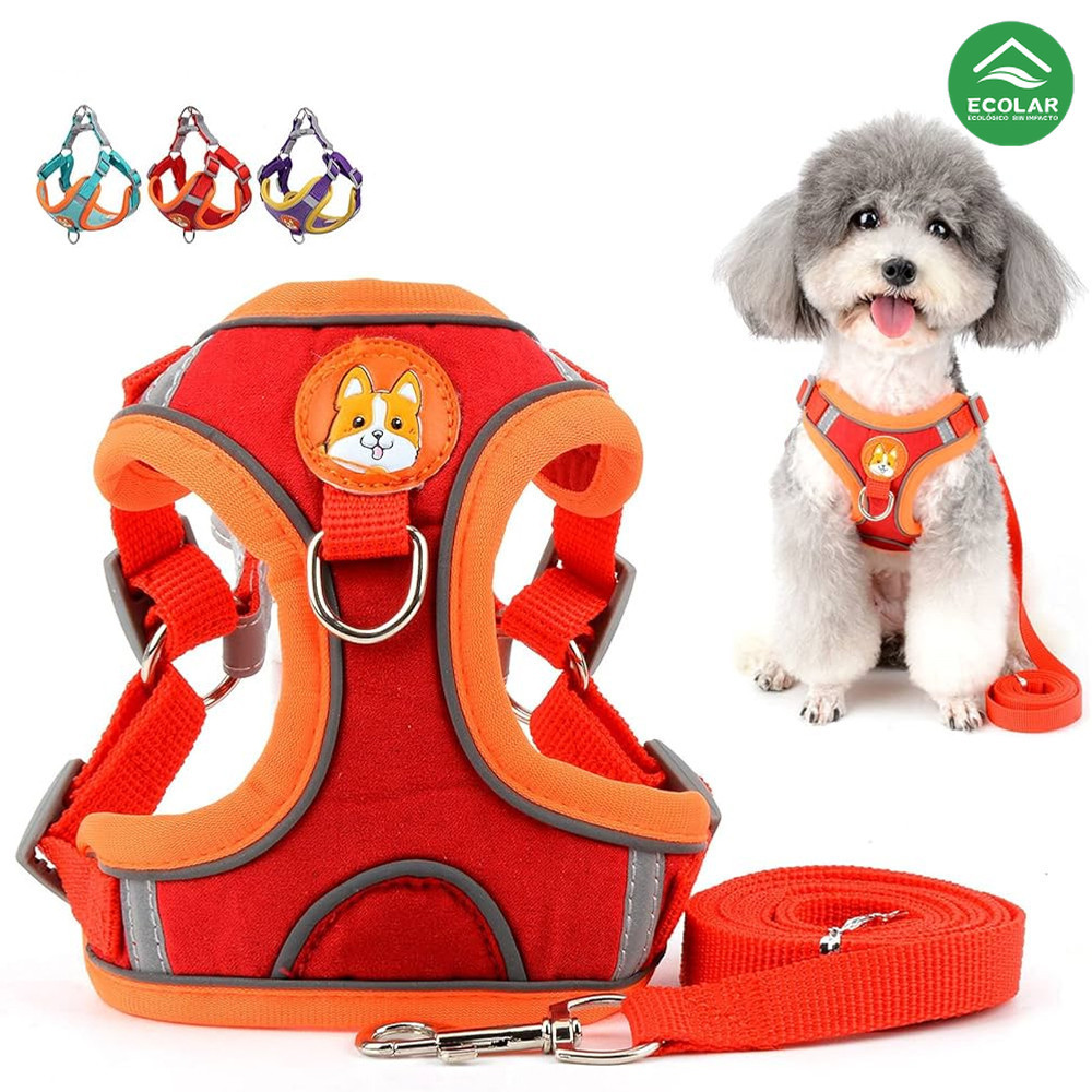 Conjunto Premium de Coleira Peitoral e Guia para Cães e Gatos – Ajustável e Seguro