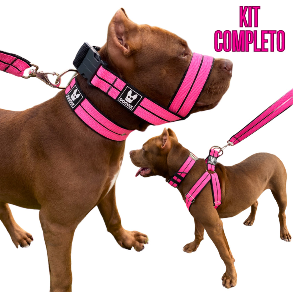 O Melhor Kit Para Passear com seu Cachorro Coleira / Guia / Focinheira / Peitoral