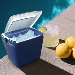 Porta Gelo Térmico Cooler Alaska Individual Com Alça E Tampa