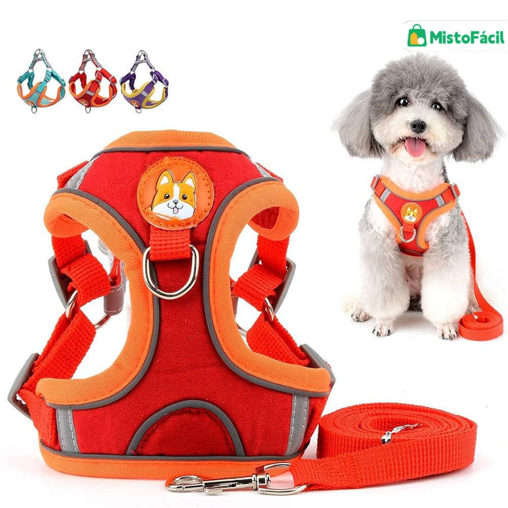 Conjunto Premium de Coleira Peitoral e Guia para Cães e Gatos – Ajustável e Seguro