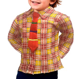 Camisa Caipira pra Bebe Menino Manga Longa Xadrez com Gravata Roupa de Festa Junina em Oferta na Shopee